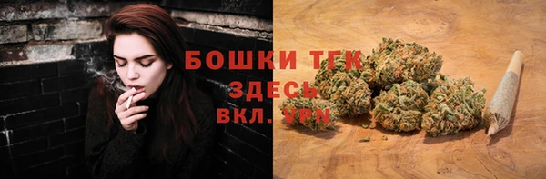 спиды Новозыбков