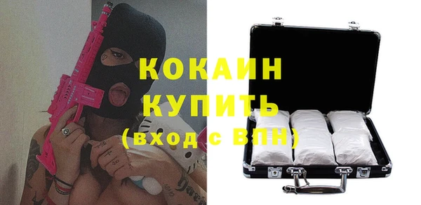 спиды Новозыбков