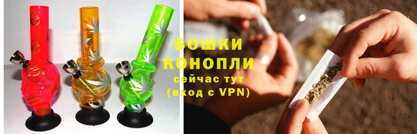 спиды Новозыбков
