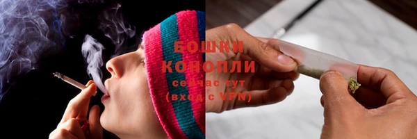 спиды Новозыбков