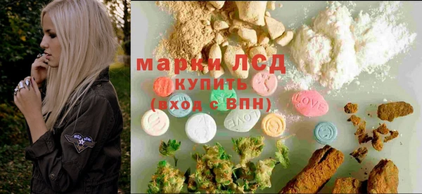 спиды Новокубанск
