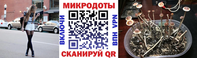 Псилоцибиновые грибы GOLDEN TEACHER  Купить где  Канаш 